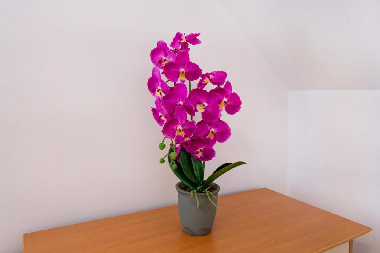 Orchid Room Kranj Exterior photo